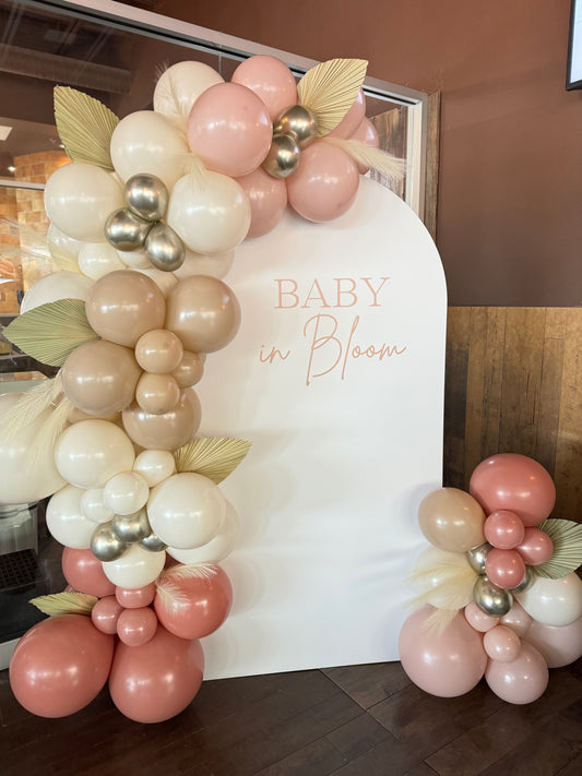 Backdrop and Balloon Arch